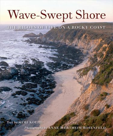 Cover image for Wave-Swept Shore