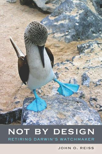 Cover image for Not by Design