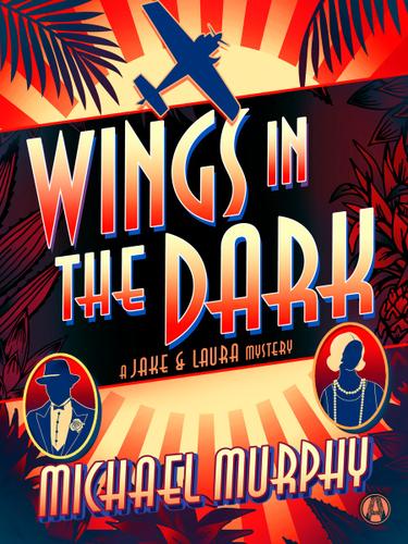 Cover image for Wings in the Dark