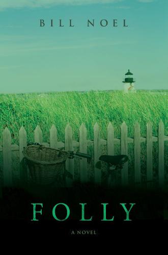 Cover image for Folly