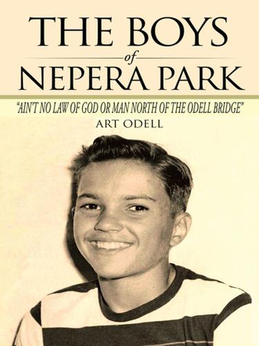 Cover image for The Boys of Nepera Park