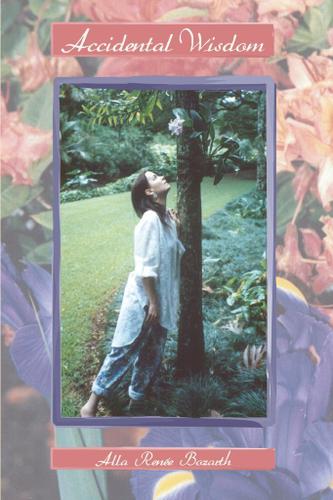 Cover image for Accidental Wisdom