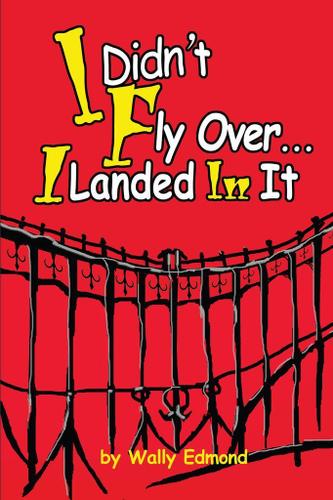 Cover image for I Didn't Fly Over... I Landed in It