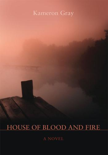 Cover image for House of Blood and Fire