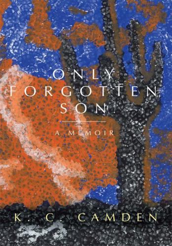 Cover image for Only Forgotten Son