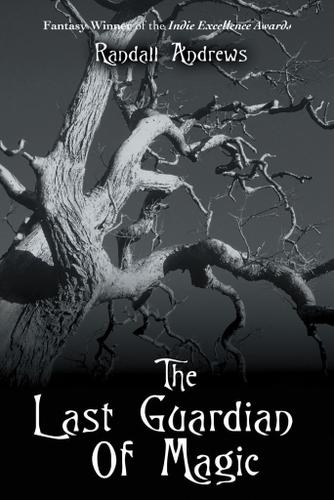 Cover image for The Last Guardian of Magic