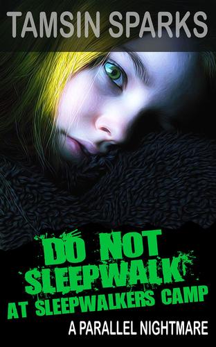 Cover image for Do Not Sleepwalk At Sleepwalkers Camp