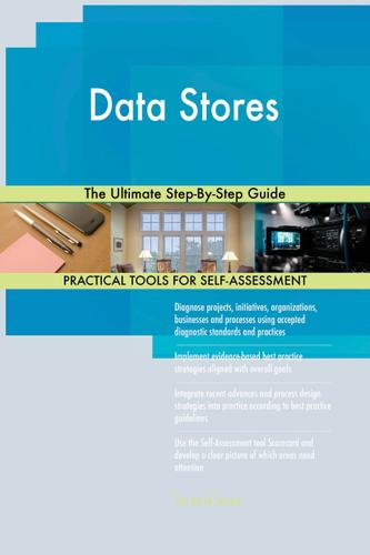 Cover image for Data Stores The Ultimate Step-By-Step Guide