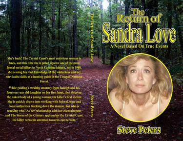 Cover image for The Return of Sandra Love