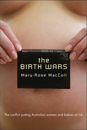 Cover image for The Birth Wars