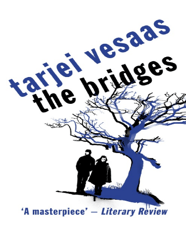 Cover image for Bridges