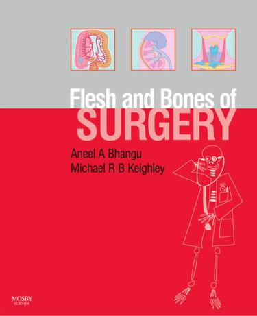Cover image for The Flesh and Bones of Surgery