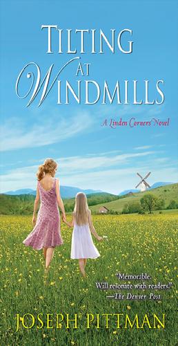 Cover image for Tilting at Windmills