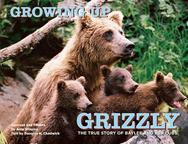 Cover image for Growing Up Grizzly