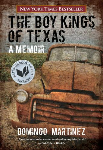 Cover image for Boy Kings of Texas
