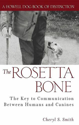 Cover image for The Rosetta Bone