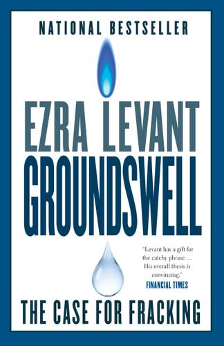 Cover image for Groundswell