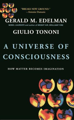 Cover image for A Universe Of Consciousness