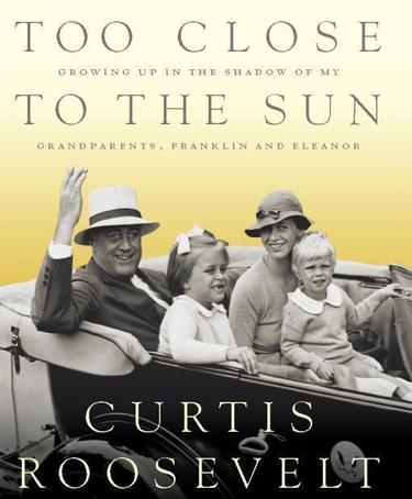 Cover image for Too Close to the Sun