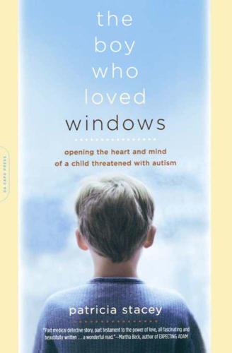 Cover image for The Boy Who Loved Windows