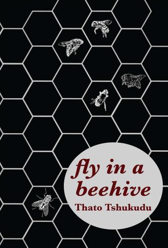 Cover image for fly in a beehive