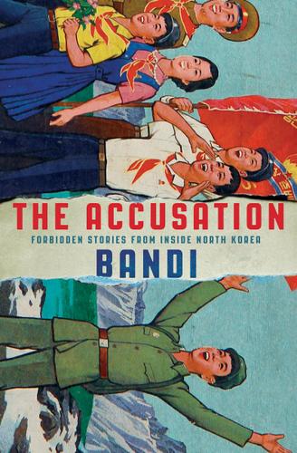 Cover image for The Accusation
