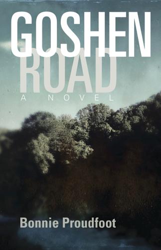 Cover image for Goshen Road