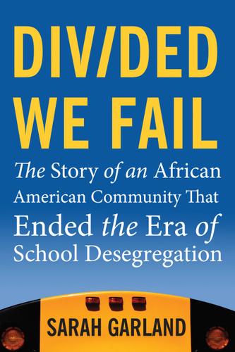 Cover image for Divided We Fail
