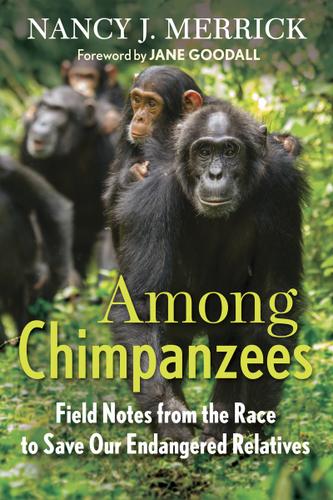 Cover image for Among Chimpanzees