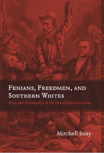 Cover image for Fenians, Freedmen, and Southern Whites