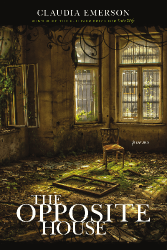 Cover image for The Opposite House