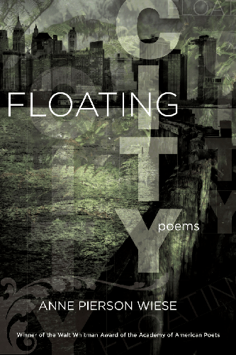 Cover image for Floating City