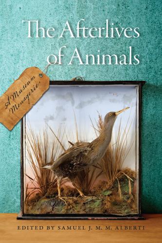 The Afterlives of Animals