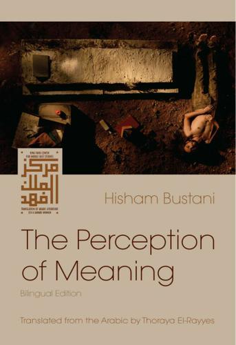 Cover image for The Perception of Meaning
