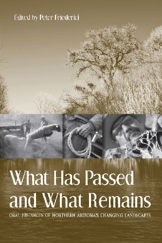Cover image for What Has Passed and What Remains