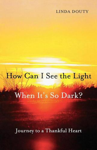 Cover image for How Can I See the Light When It's So Dark?
