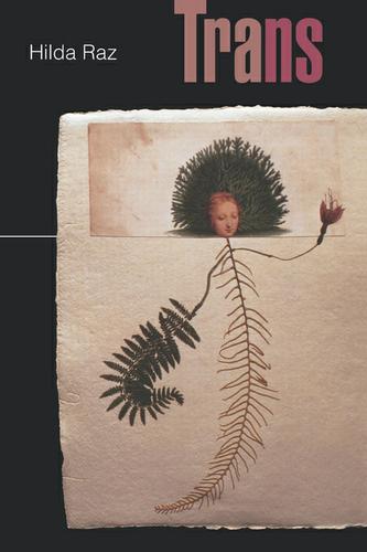 Cover image for Trans