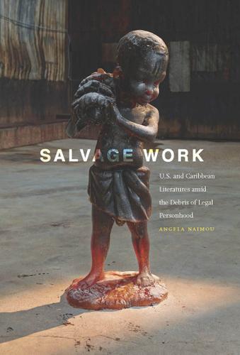 Cover image for Salvage Work
