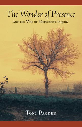 Cover image for The Wonder of Presence