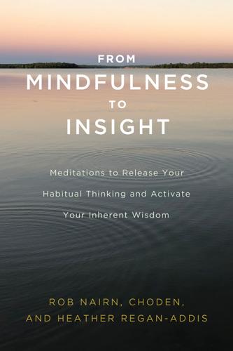 Cover image for From Mindfulness to Insight