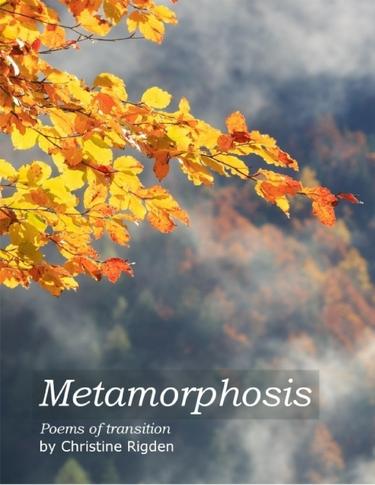 Cover image for Metamorphosis
