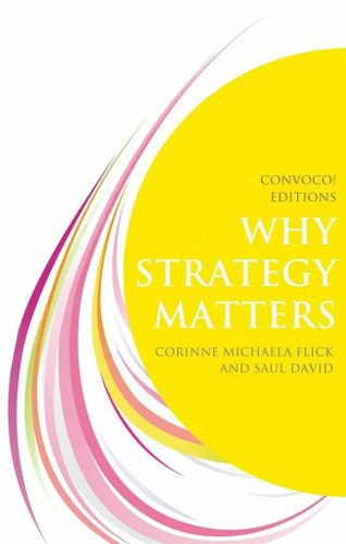 Cover image for Why Strategy Matters