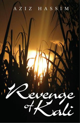 Cover image for Revenge of Kali