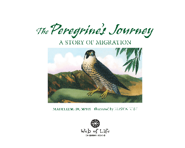 Cover image for The Peregrine's Journey