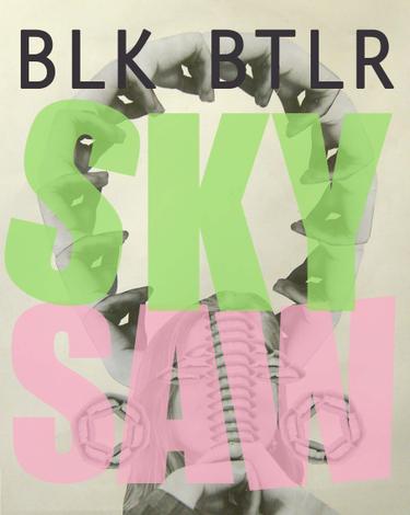 Cover image for Sky Saw