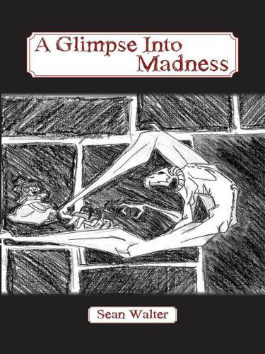 Cover image for A Glimpse Into Madness