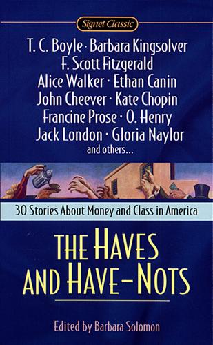 Cover image for The Haves and Have Nots