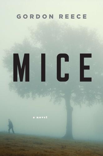 Cover image for Mice