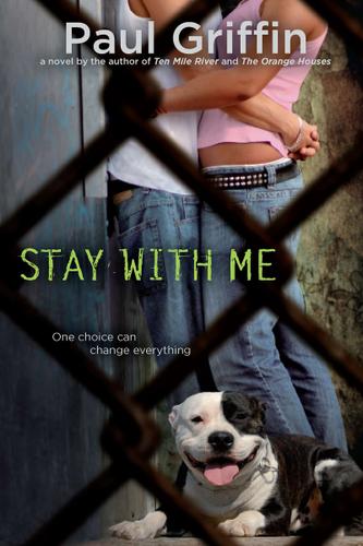 Cover image for Stay With Me