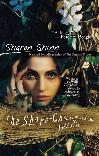 Cover image for The Shape-Changer's Wife